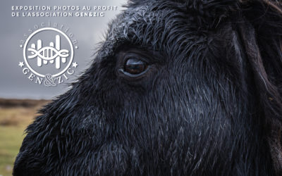 L’Écosse au cœur de Chalon